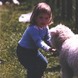 Stanley School - Calf Day - October 1986