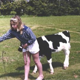 Stanley School - Calf Day - October 1986