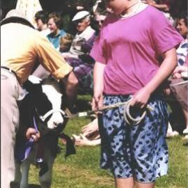 Stanley School - Calf Day - October 1986
