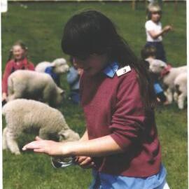 Stanley School - Calf Day - October 1986