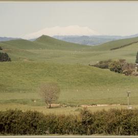 Mt Ruapehu as seen from Stratford 