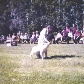 Stanley School - 1985