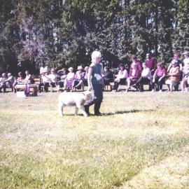 Stanley School - 1985