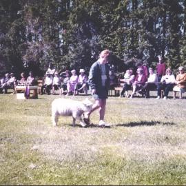 Stanley School - 1985