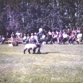 Stanley School - 1985