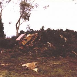 Stanley School - Milling library timber - 1981