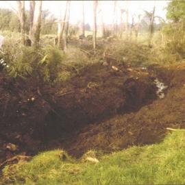 Stanley School - Milling library timber - 1981