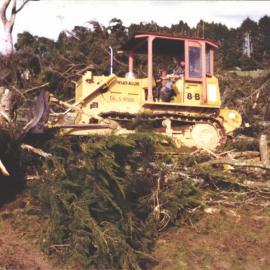 Stanley School - Milling library timber - 1981