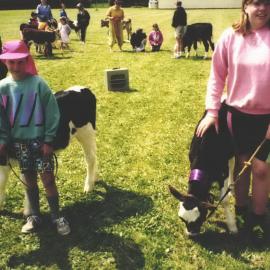 Stanley School - Calf day - 1991