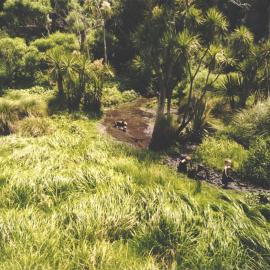 Stanley School - Wanganui Camp