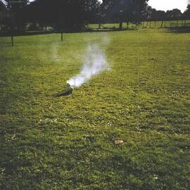 Stanley School - 2003