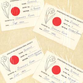 Stanley Road School 1992