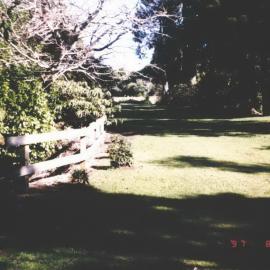 Rhododendron Dell, King Edward Park August 1997