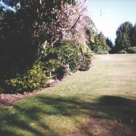 Rhododendron Dell, King Edward Park August 1997