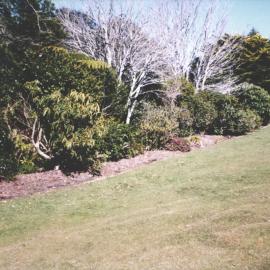 Rhododendron Dell, King Edward Park August 1997