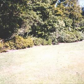 Rhododendron Dell, King Edward Park August 1997