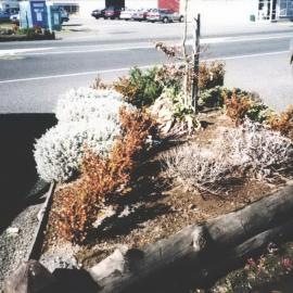 Planter Box outside Police Station August 1997