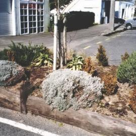 Planter Boxes Juliet Street August 1997