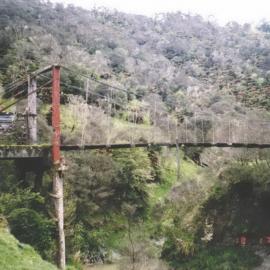 Bridges beyond peg - Whangamōmona Road 1997