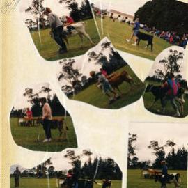 Stanley Road School 1992