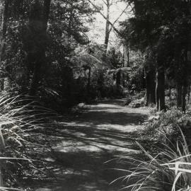 Walkways behind Rhododendron Dell.
