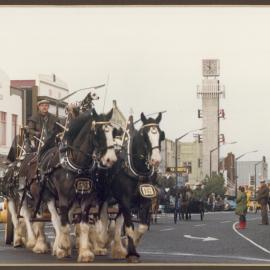 D.B Team from Hamilton