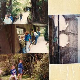 Stanley Road School 1992