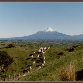 View of Mountain over Farmland