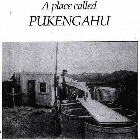 A Place Called Pukengahu