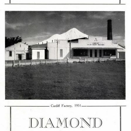 Cardiff Co-Operative Dairy Factory Company Limited Diamond Jubilee 1891-1951