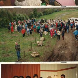 Taranaki WDFF 1990 - 2003