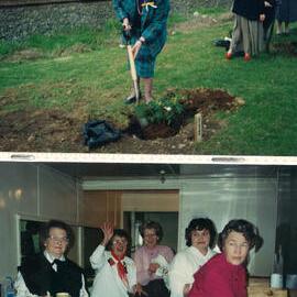 Taranaki WDFF 1990 - 2003