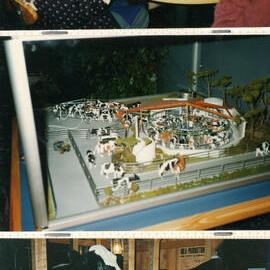 Central Taranaki WDFF 1990 - 2023