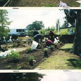 Central Taranaki WDFF 1990 - 2023