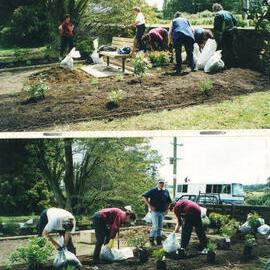 Central Taranaki WDFF 1990 - 2023