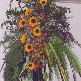 Central Taranaki WDFF 1990 - 2023