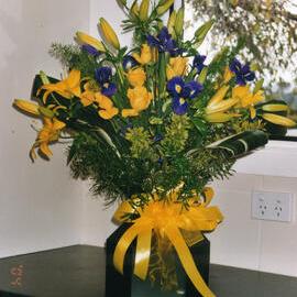 Central Taranaki WDFF 1990 - 2023