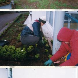 Central Taranaki WDFF 1990 - 2023