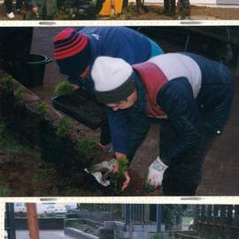 Central Taranaki WDFF 1990 - 2023