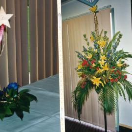 Central Taranaki WDFF 1990 - 2023