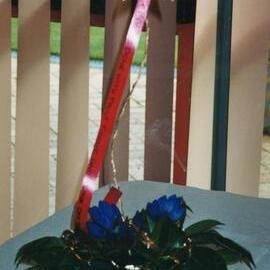 Central Taranaki WDFF 70th Celebrations 2003