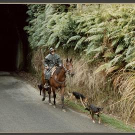 Eddie Hasler and dogs, Matau tunnel. 