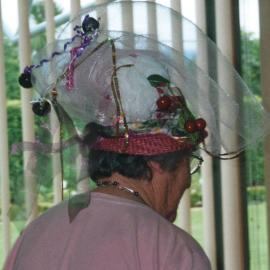 Central Division WDFF 1993-2011