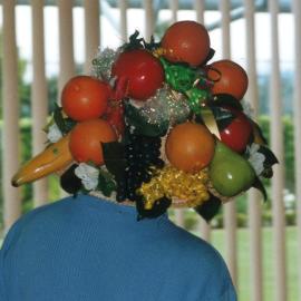 Central Division WDFF 1993-2011