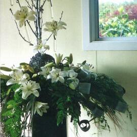 Central Division WDFF 1993-2011