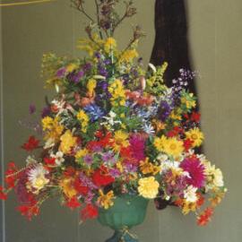 Central Division WDFF 1993-2011