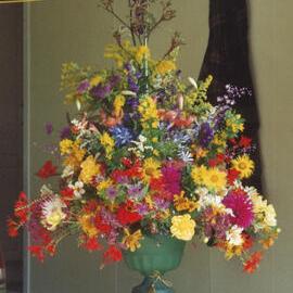 Central Division WDFF 1993-2011