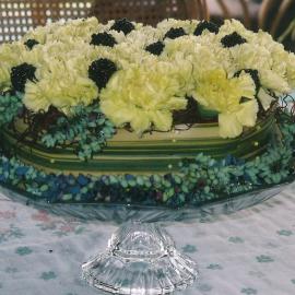 Central Division WDFF 1993-2011