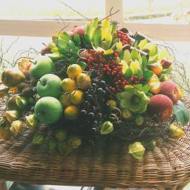 Central Division WDFF 1993-2011