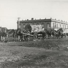 Sharrock's wagons pull logs eastwards on Regan St, 1904